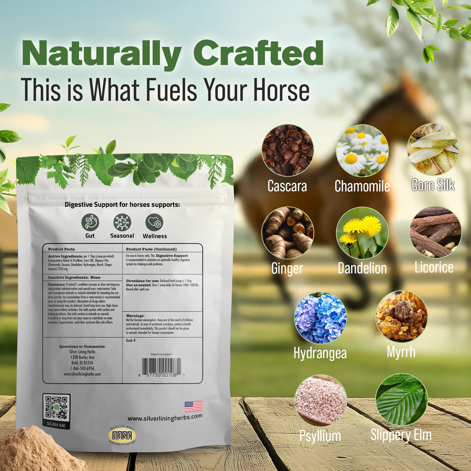 Cuillère doseuse incluse avec la poudre digestive Silver Lining Herbs pour chevaux