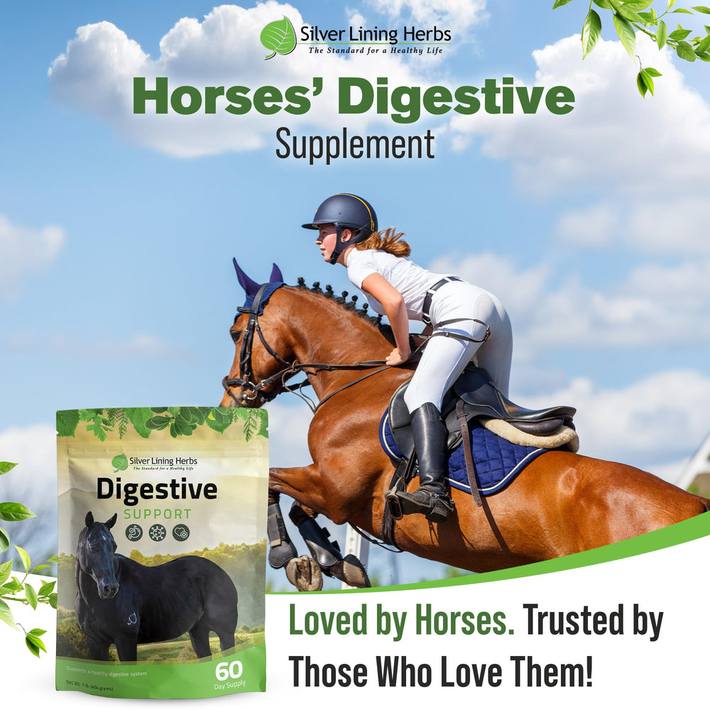 Préparation quotidienne facile avec la poudre digestive Silver Lining Herbs