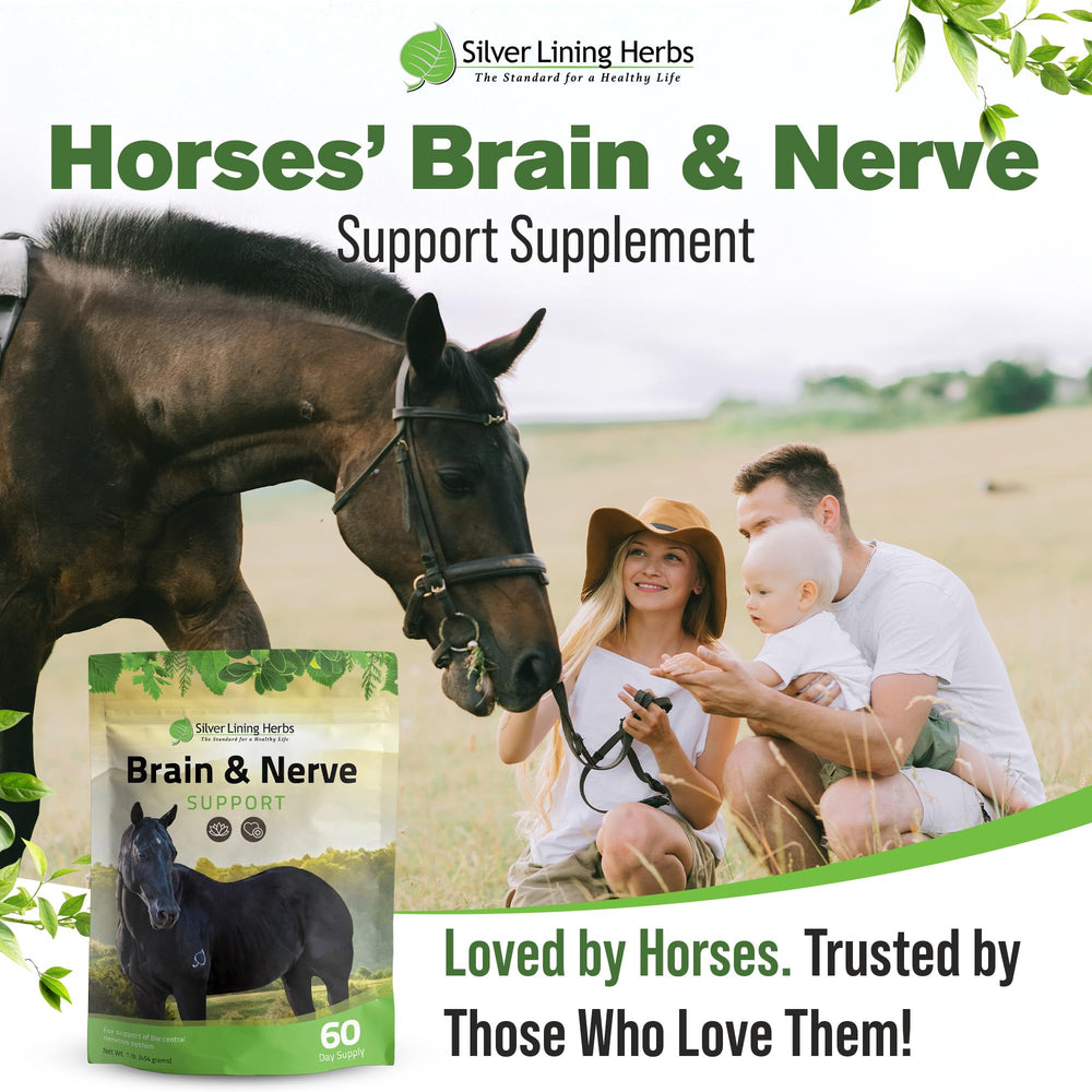Synergie d’herbes naturelles pour le bien‑être équin Silver Lining