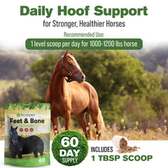 Silver Lining Herbs tendon cheval, soutien durable des ligaments.