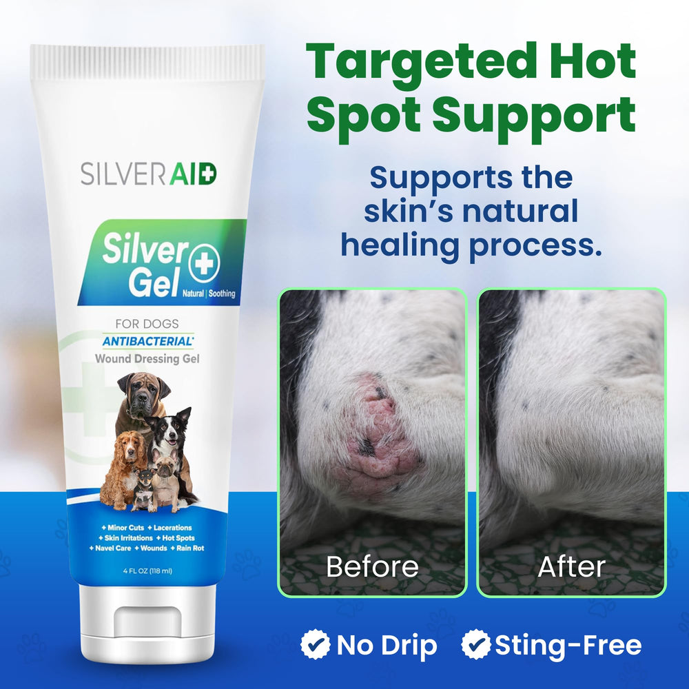 SilverAid Gel Prévention Infections Chien: peut aider à réduire les risques d'infection mineure.