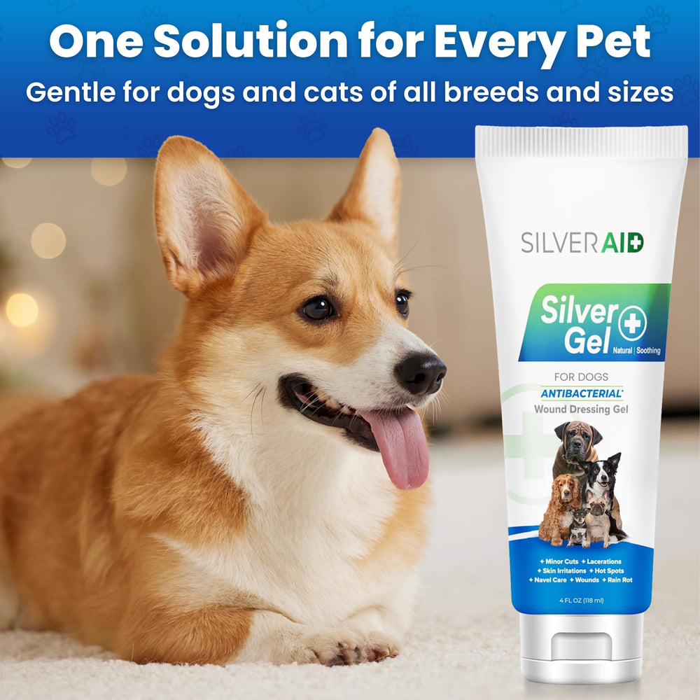 Gel SilverAid Soin Plaie Chien: aide à soutenir la guérison des petites plaies.