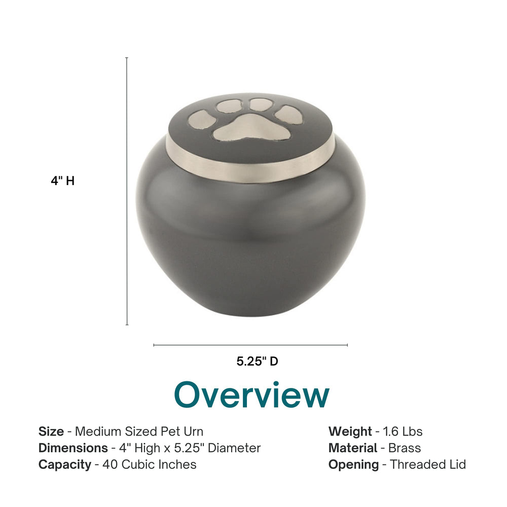 Silverlight Urns capacité 40 pouces cubes adaptée jusqu’à 40 lb.