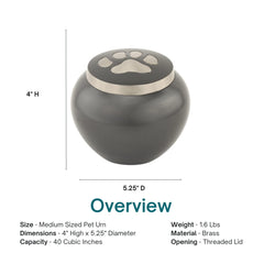 Silverlight Urns capacité 40 pouces cubes adaptée jusqu’à 40 lb.