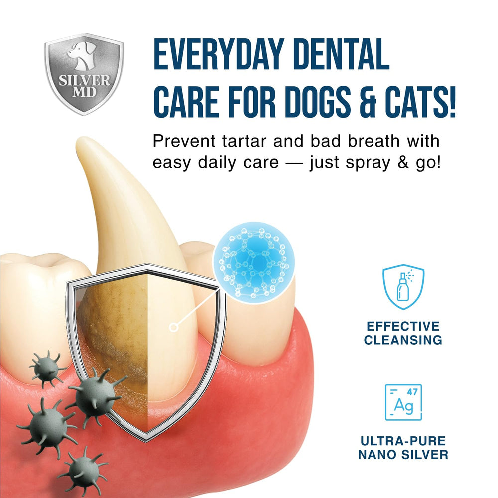 Application sur dents et gencives avec le vaporisateur dentaire SilverMD pour un entretien rapide.