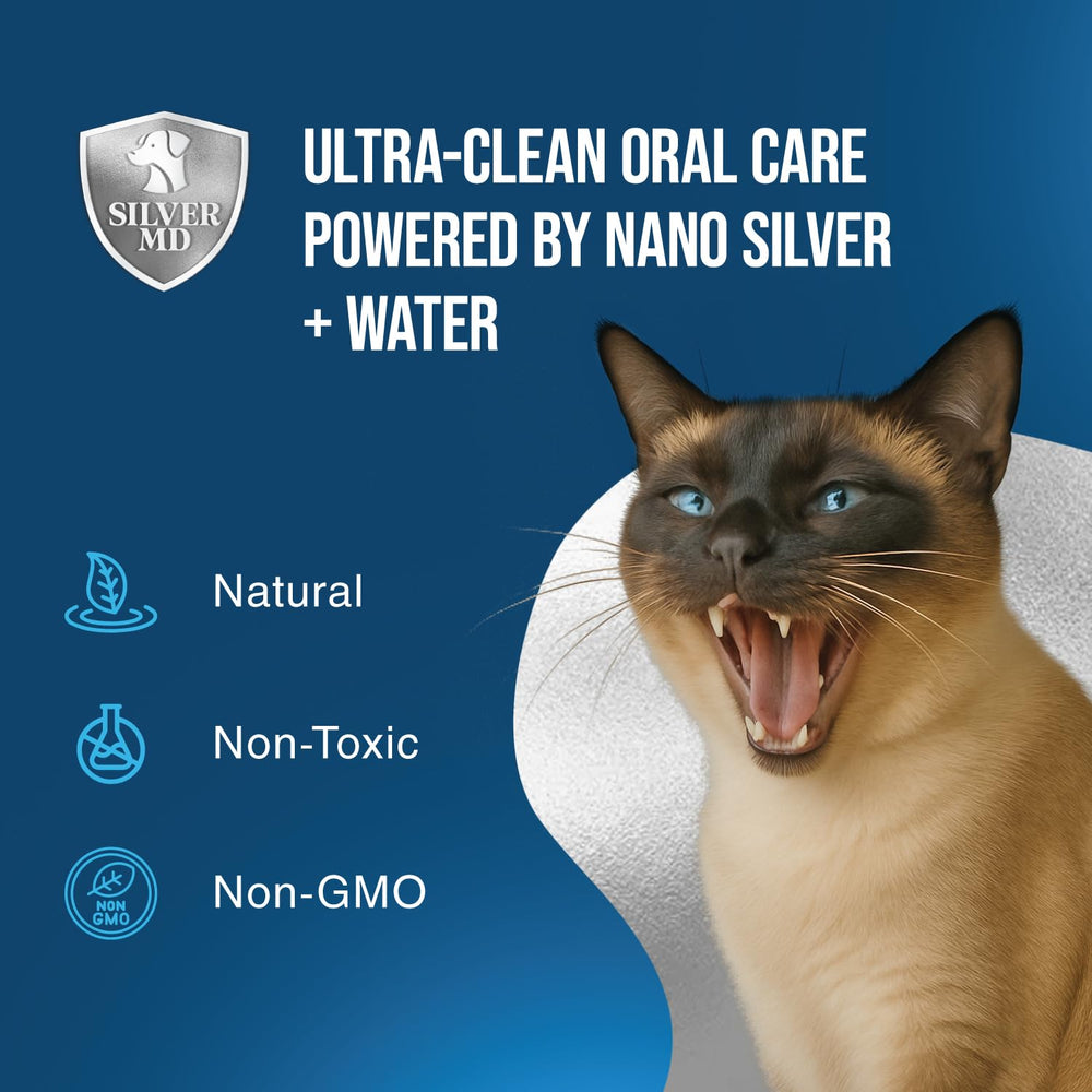 Solution d’hygiène buccale SilverMD: vaporisateur pour une routine sans effort.