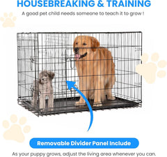 Simple Deluxe boîte-chien 24p montage rapide sans outils.
