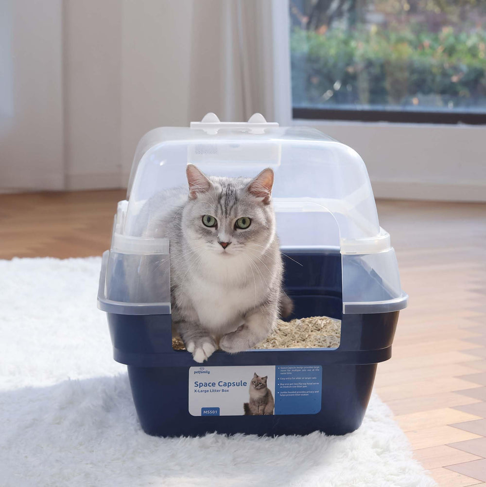 Simple Deluxe: espace adapté pour foyers multi-chats.