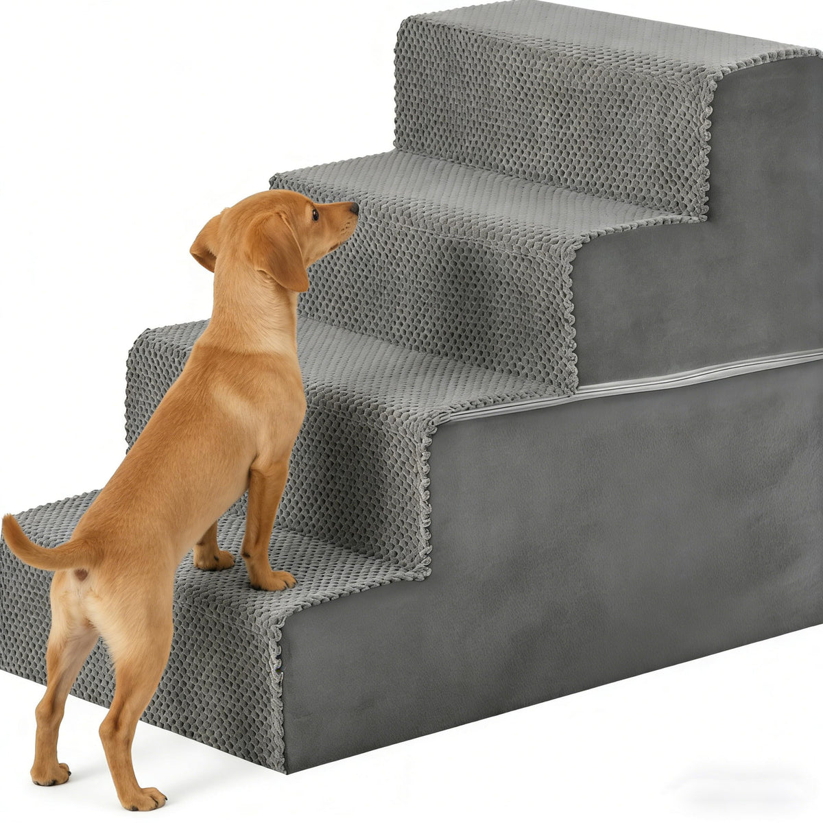 Escaliers Simple Deluxe pour chien petit avec 4 marches, accès canapé