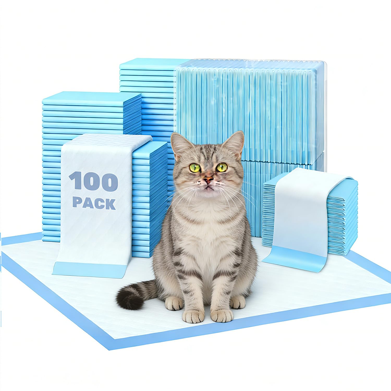 Simple Deluxe Tapis Chat 22x22, vue générale prêt à l'emploi dans la litière.