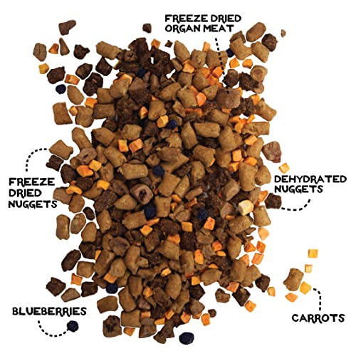 Cuillère-mesure Simple Food Project prête à servir des portions adaptées