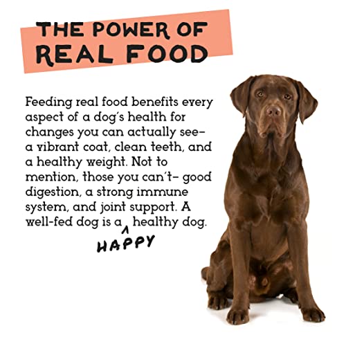 Prix pratique et economique pour chien avec Simple Food Project.