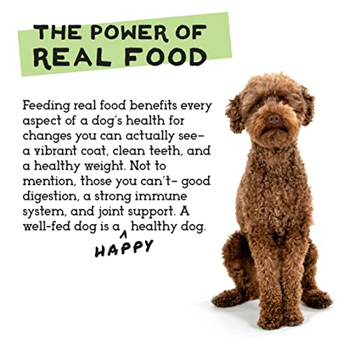 Simple Food Project Traçabilité et sécurité – normes élevées pour aliments pour chien.