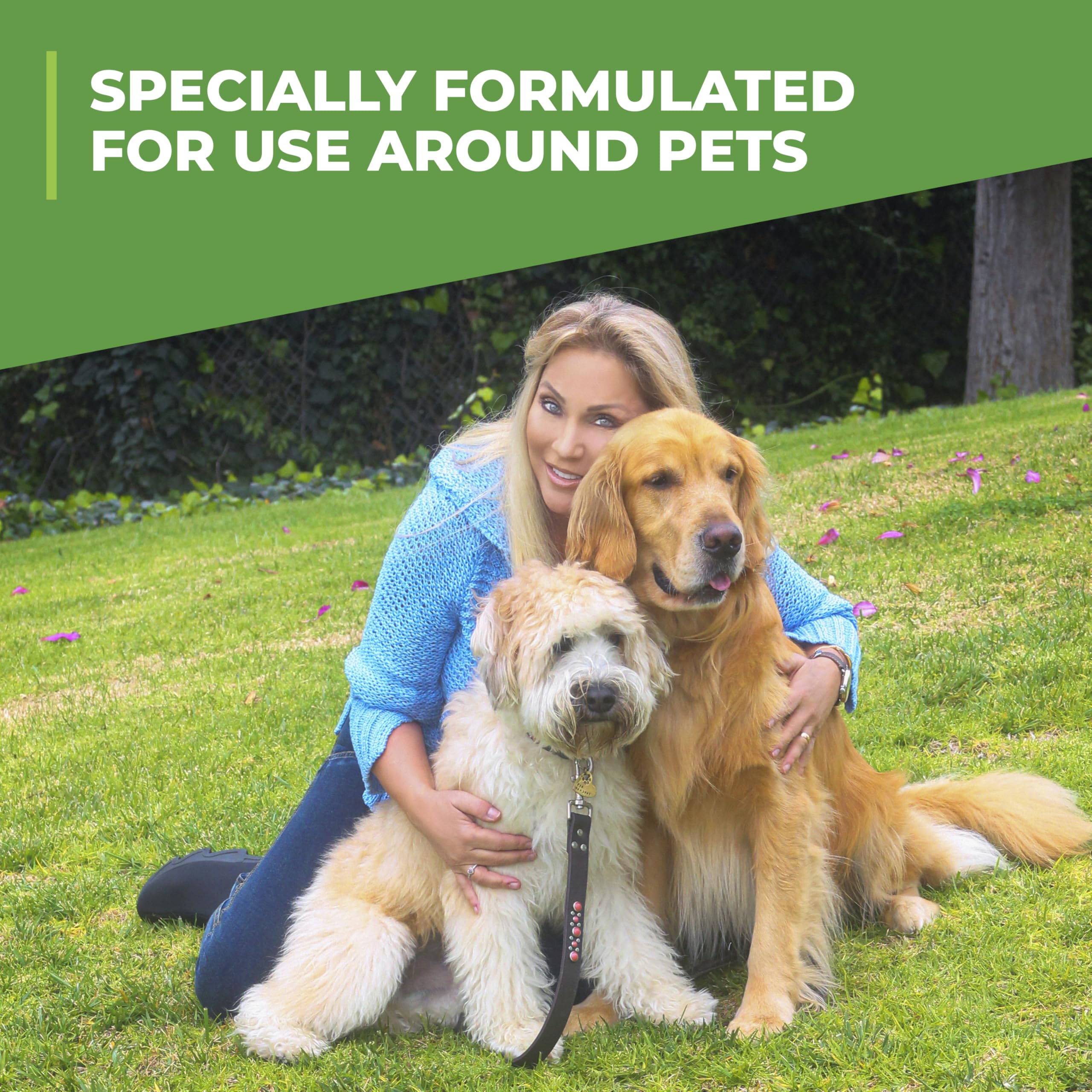 Simple Green idéal pour patios et enclos pour chiens avec odeurs réduites.