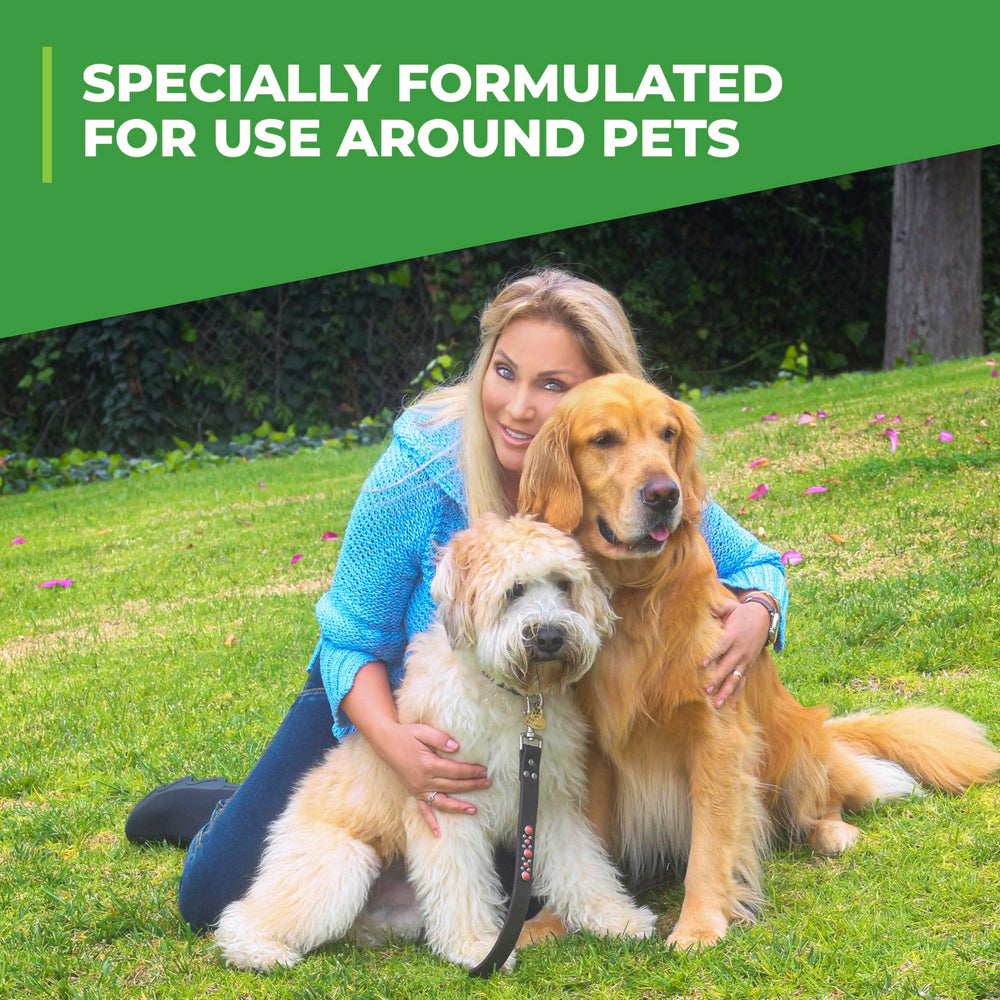 Simple Green idéal pour patios et enclos pour chiens avec odeurs réduites.