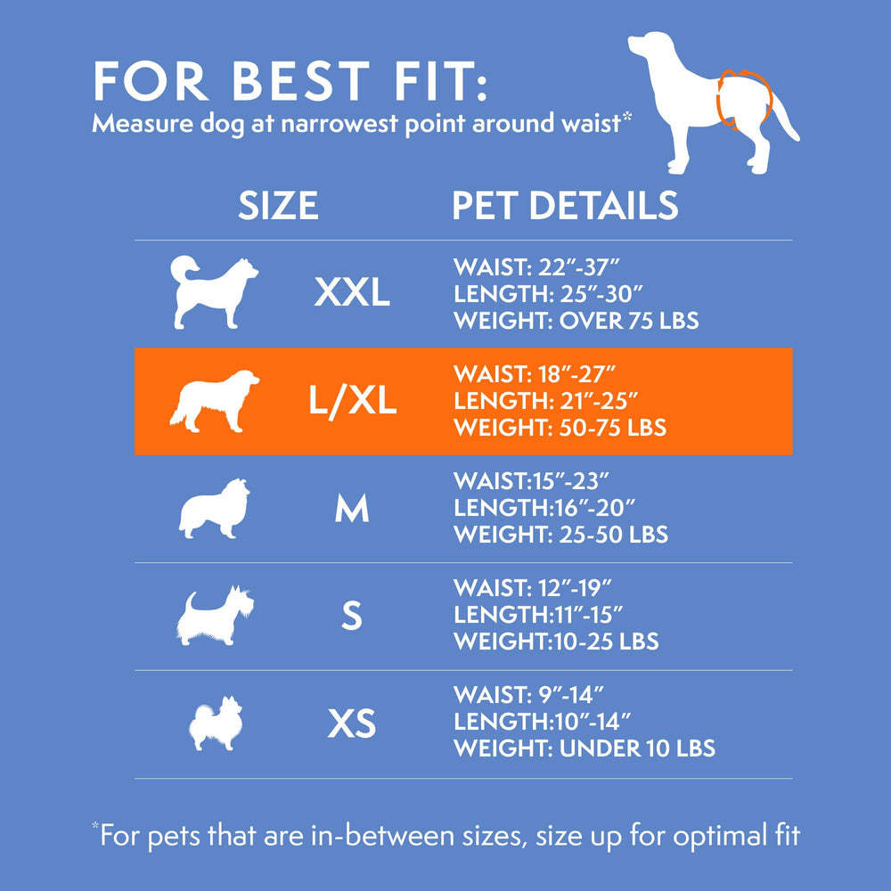 Simple Solution ceinture-confort-chien: maintien ajustable pour une mobilité sans gêne.