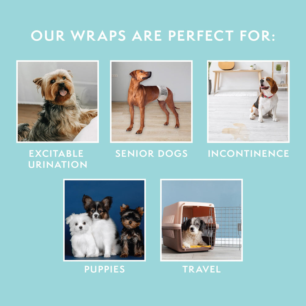 Simple Solution protections jetables chiots toy pour voyages et déplacements