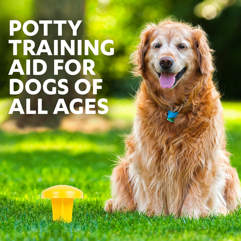 Idéal pour chiots et chiens adultes, en maison comme en voyage.