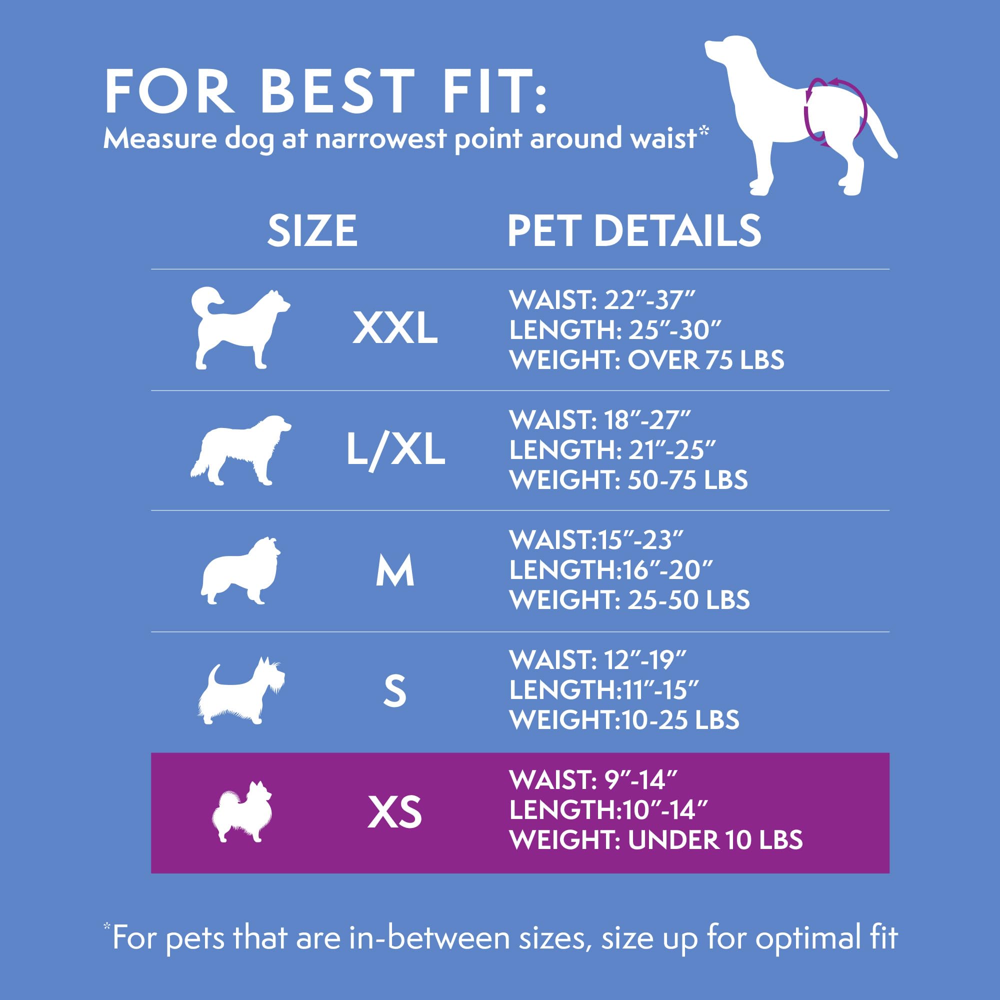 Simple Solution extérieur respirant favorisant le confort quotidien du chien.