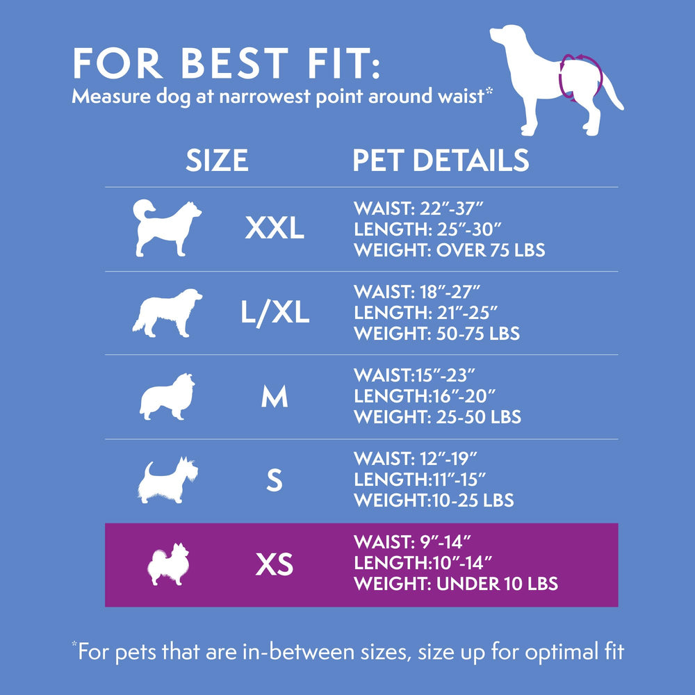 Simple Solution extérieur respirant favorisant le confort quotidien du chien.