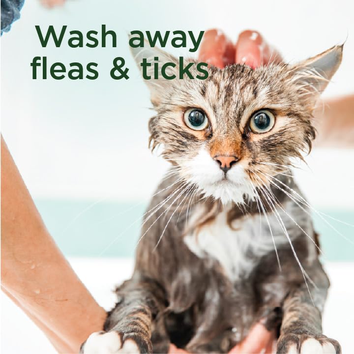 Shampoing SimpleSource pour chat, ingrédients végétaux visibles sur l’étiquette