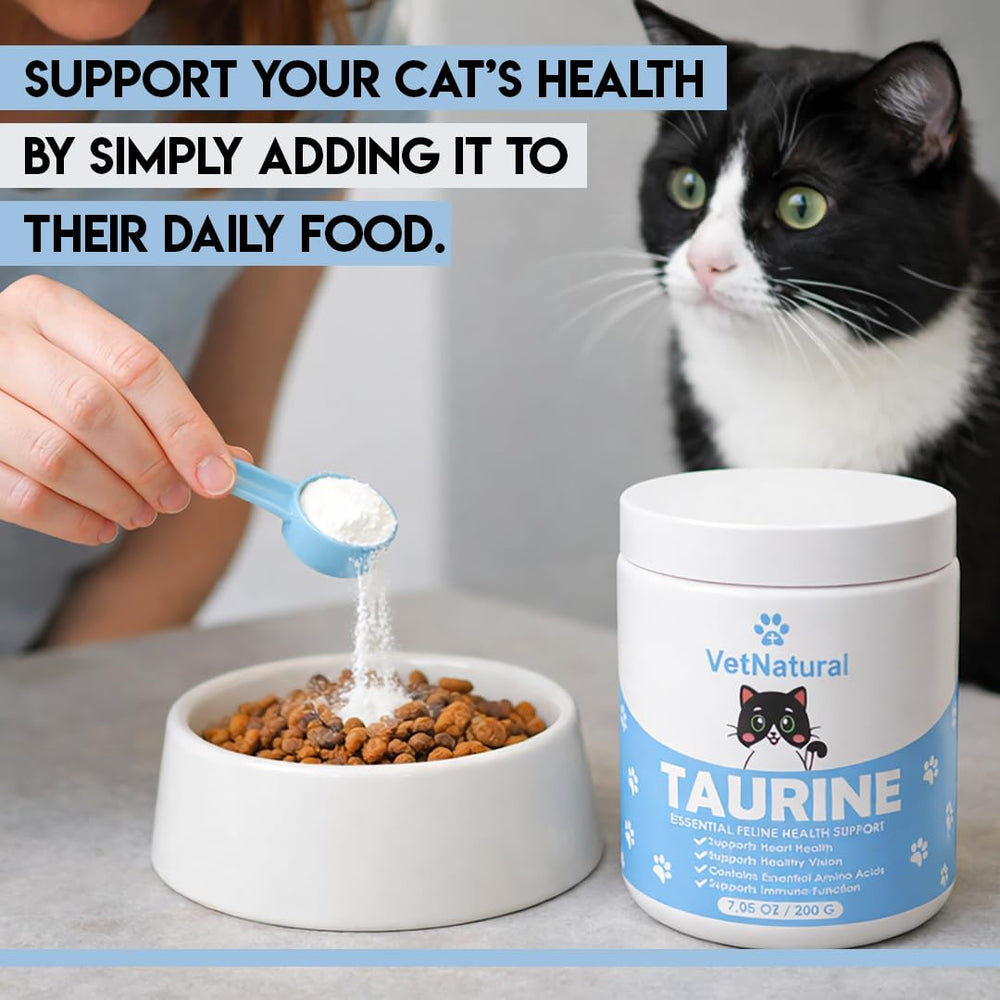 Cuillère doseuse incluse avec KittySupps Taurine, facilité d’utilisation quotidienne.