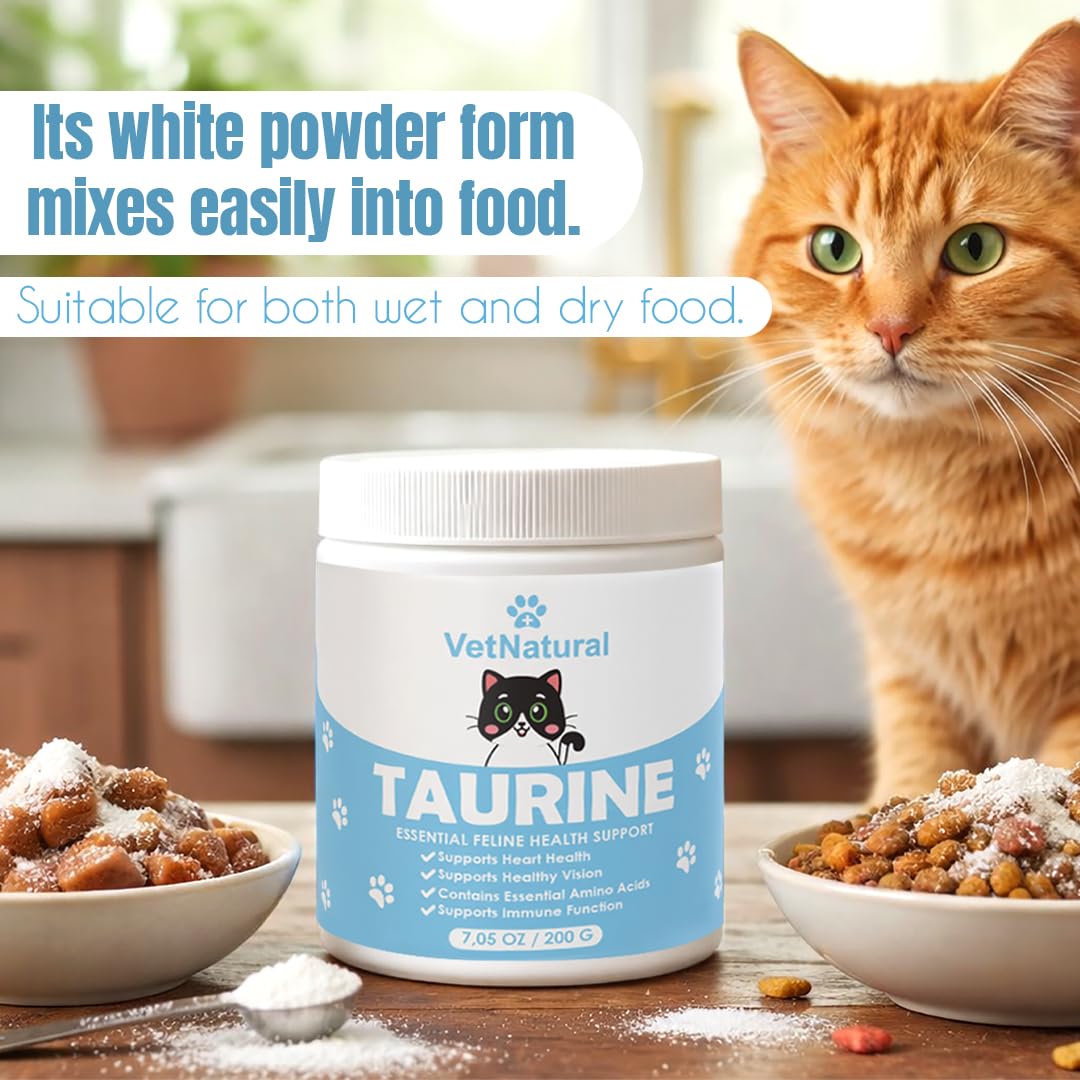 Poudre sans odeur KittySupps Taurine – mélange fluide sans changer le goût.