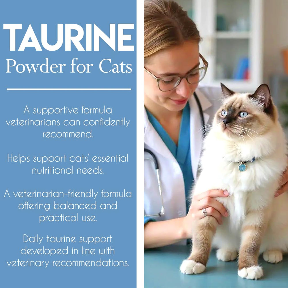 Kittysupps Taurine – pureté 99,99% pour le quotidien.