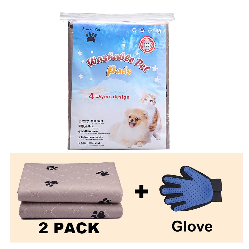 Emballage cadeau SincoPet, parfait pour offrir