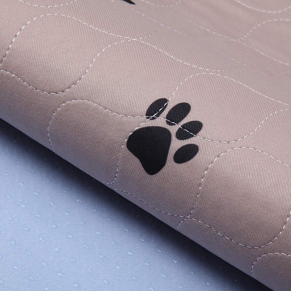 Tapis imperméable SincoPet protège sols et meubles