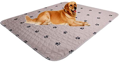 SincoPet Tapis Lavables – couche supérieure moelleuse pour un apprentissage confortable.