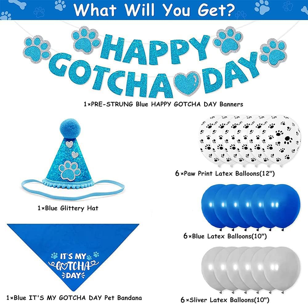 Ballon bleu SINFUN, décor ludique pour célébrer l’adoption du chien.