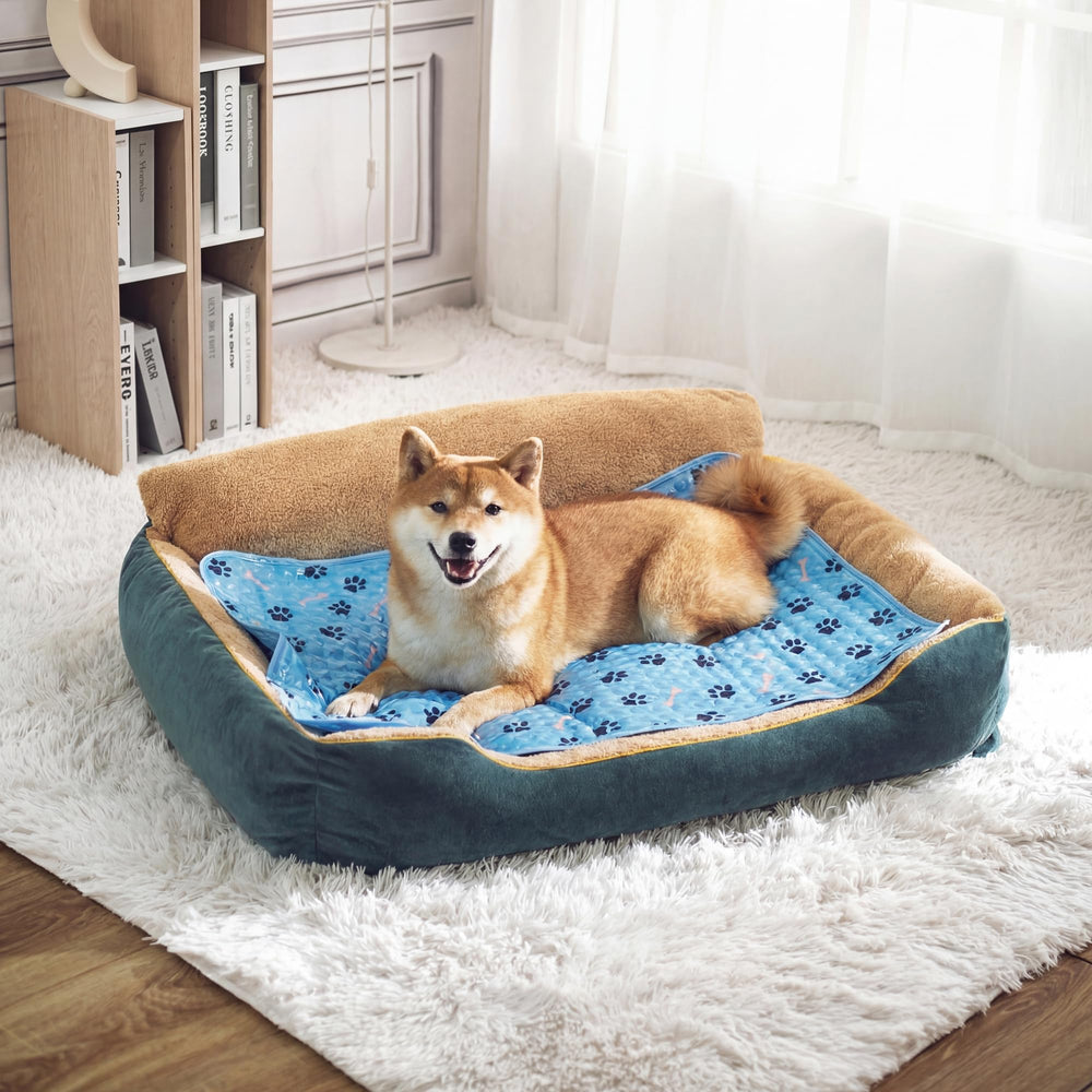 Rafraîchissement facilité pour petits chiens et chats avec SiniReta.