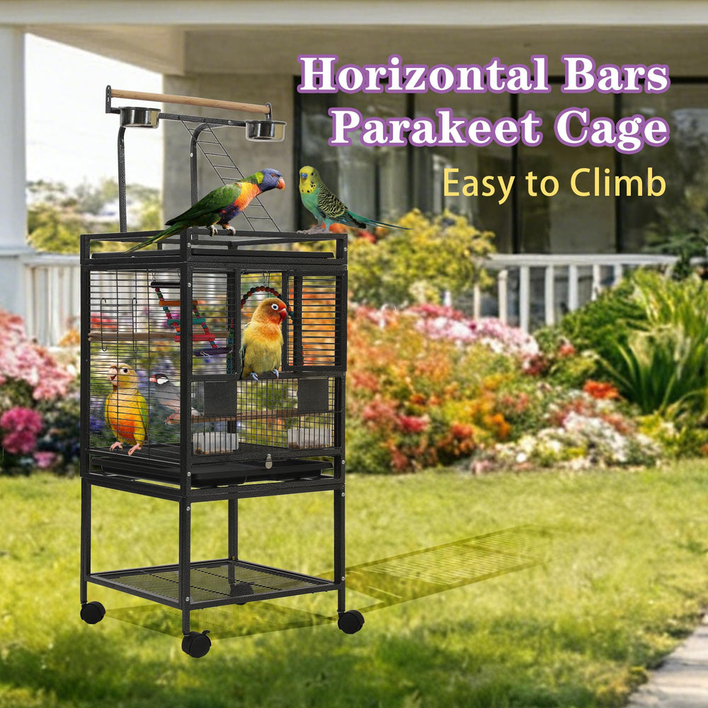 Accessoires complets inclus avec la cage Sinopet pour démarrer rapidement.