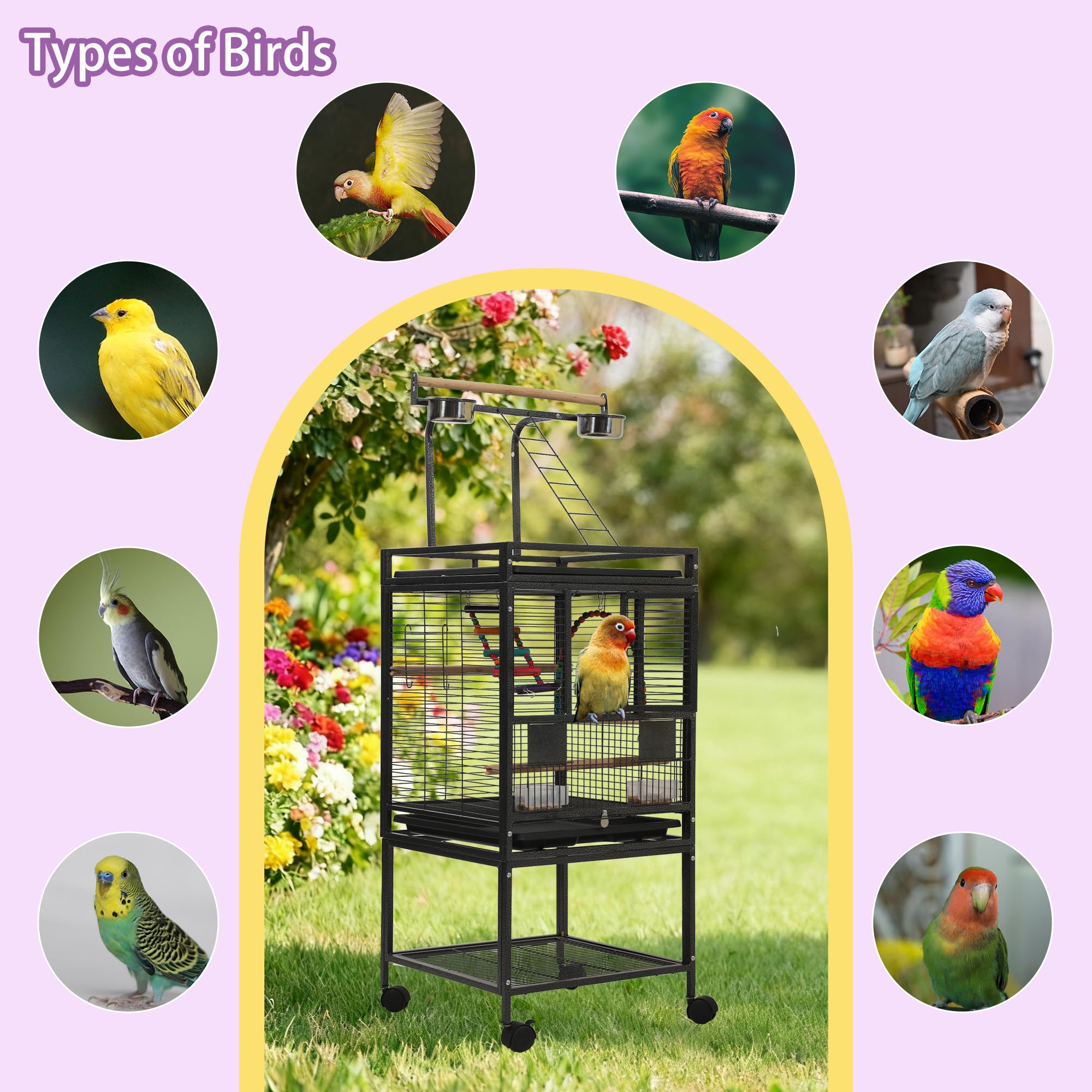 Durabilité de la cage Sinopet en acier carbone avec finition non toxique.