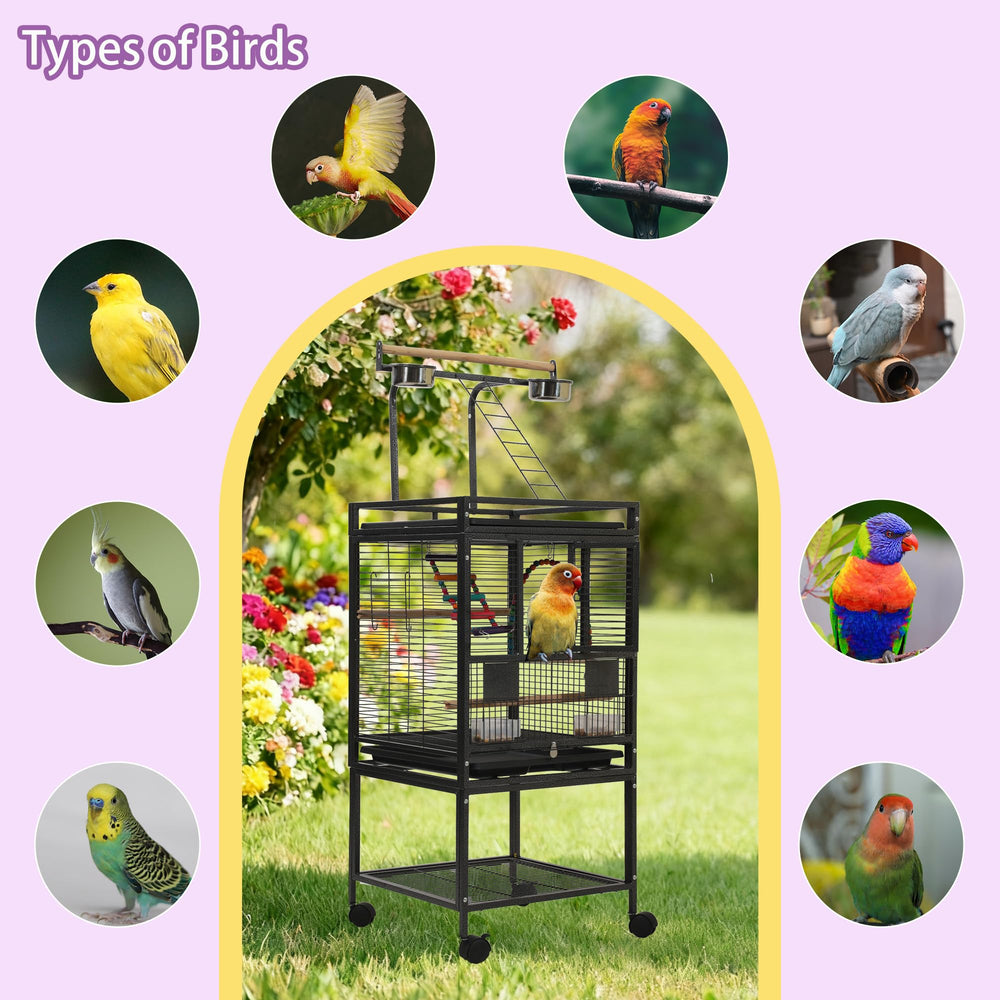 Durabilité de la cage Sinopet en acier carbone avec finition non toxique.