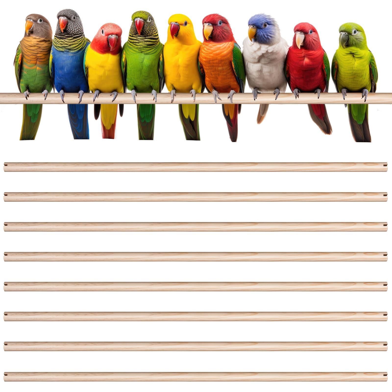 Sintuff perches bois naturel 24 pouces, texture douce pour le confort des oiseaux.