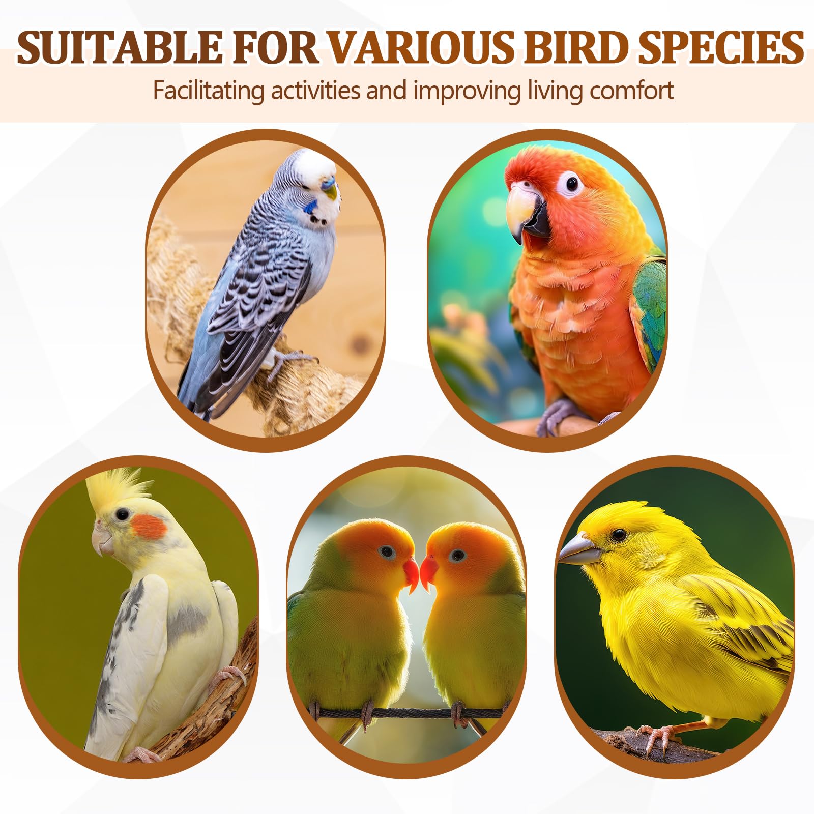 Sintuff habitat naturel pour oiseaux amélioré grâce à des branches réalistes.
