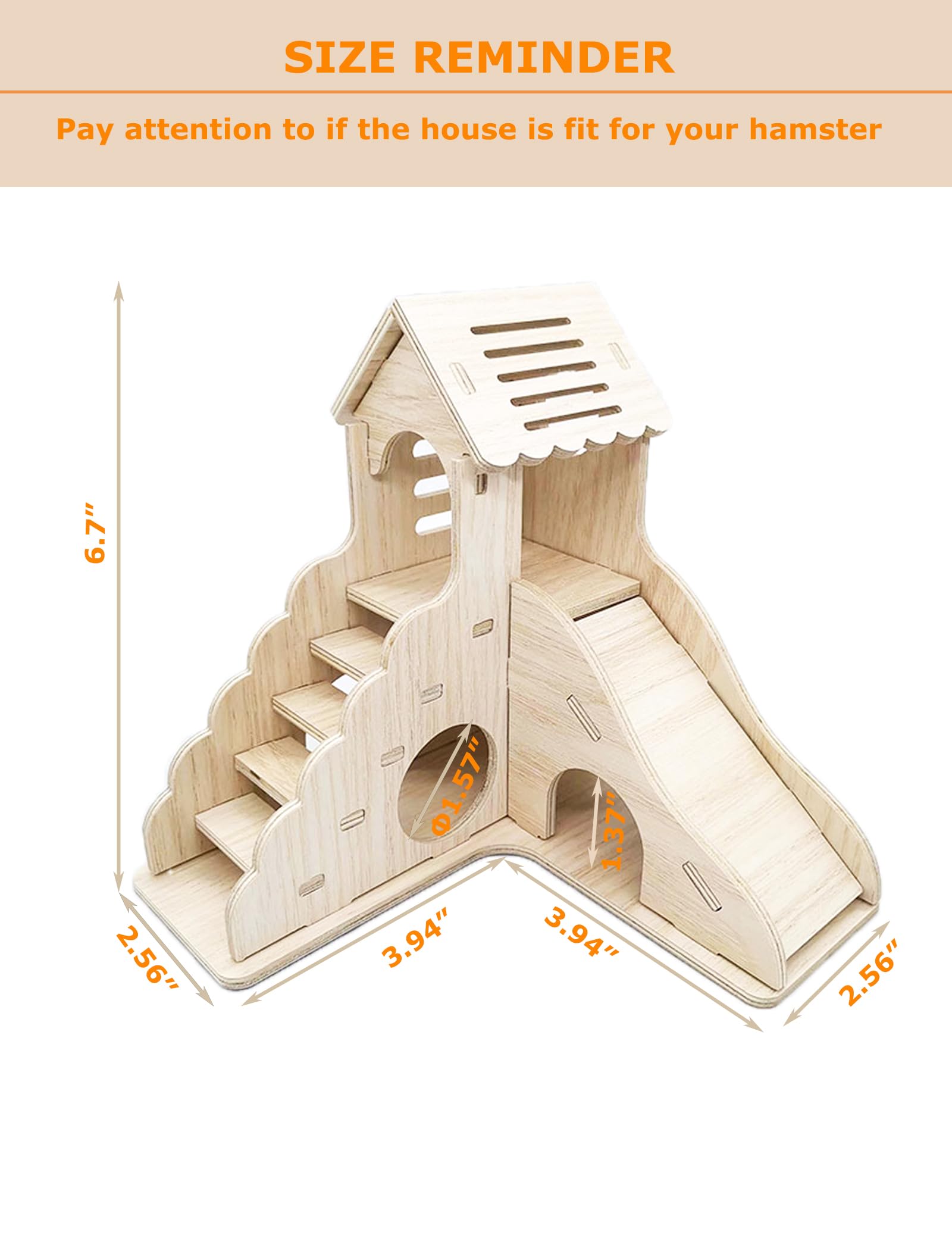 Sirvarni Hamster Hideout: échelle et toboggan, encouragent l'activité et le jeu.