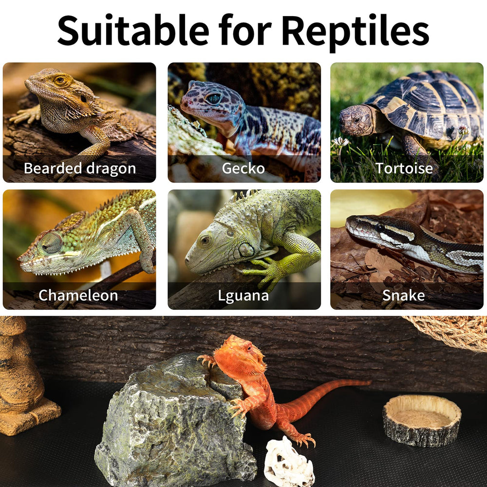 Tapis polyvalent SISIPAI LIFE pour dragon barbu, gecko léopard et tortue.