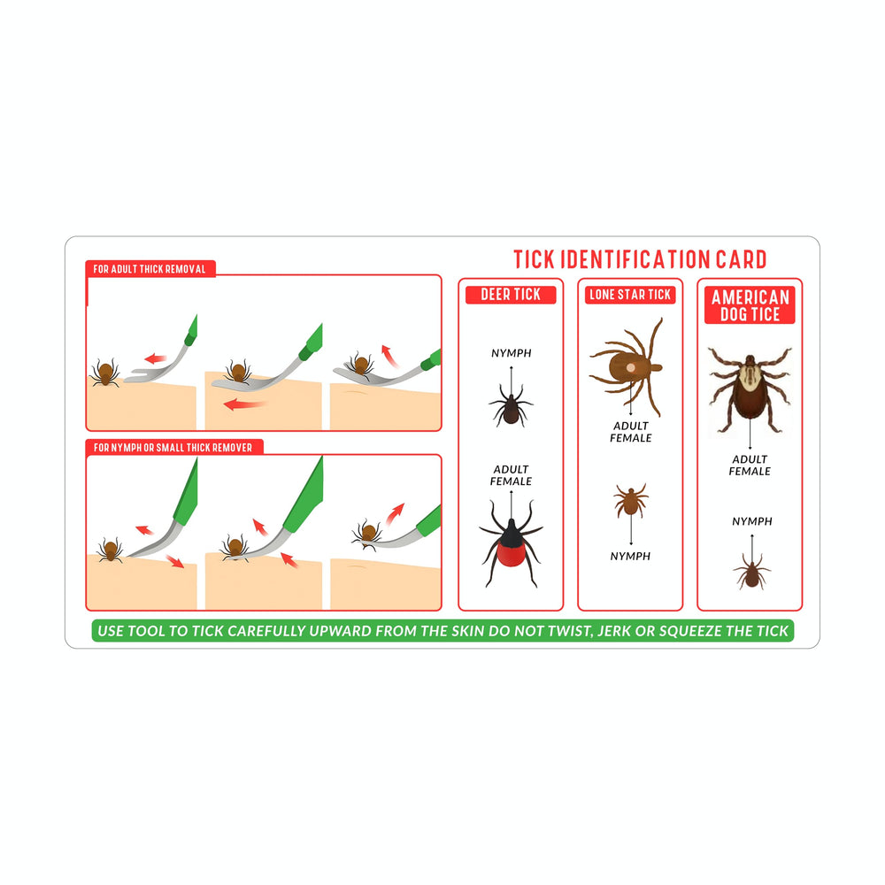 SIVOTE pince précision tique pour manipulation contrôlée