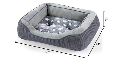 Cadeau idéal pour propriétaires d’animaux, polyvalent et pratique.