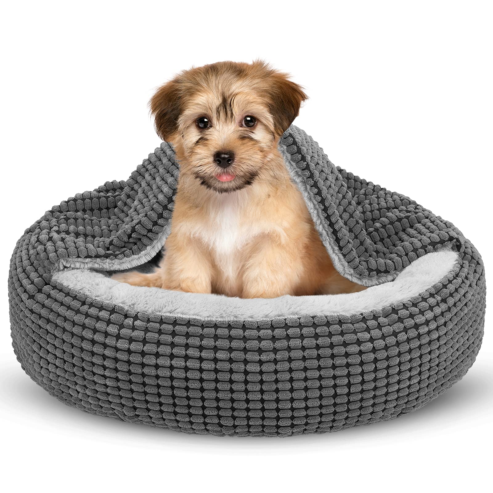 Lit SIWA MARY pour petit chien avec couverture intégrée, cocon sûr et cosy.