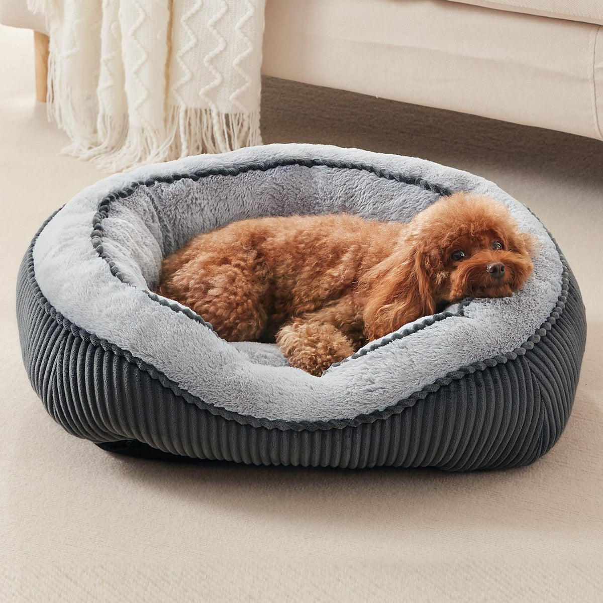 Lit SIWA MARY pour petit chien, rectangulaire et lavable.