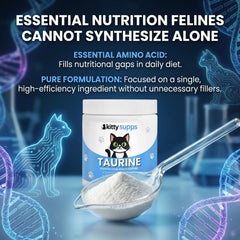 Pelage plus brillant grâce à KittySupps Taurine Skaal.
