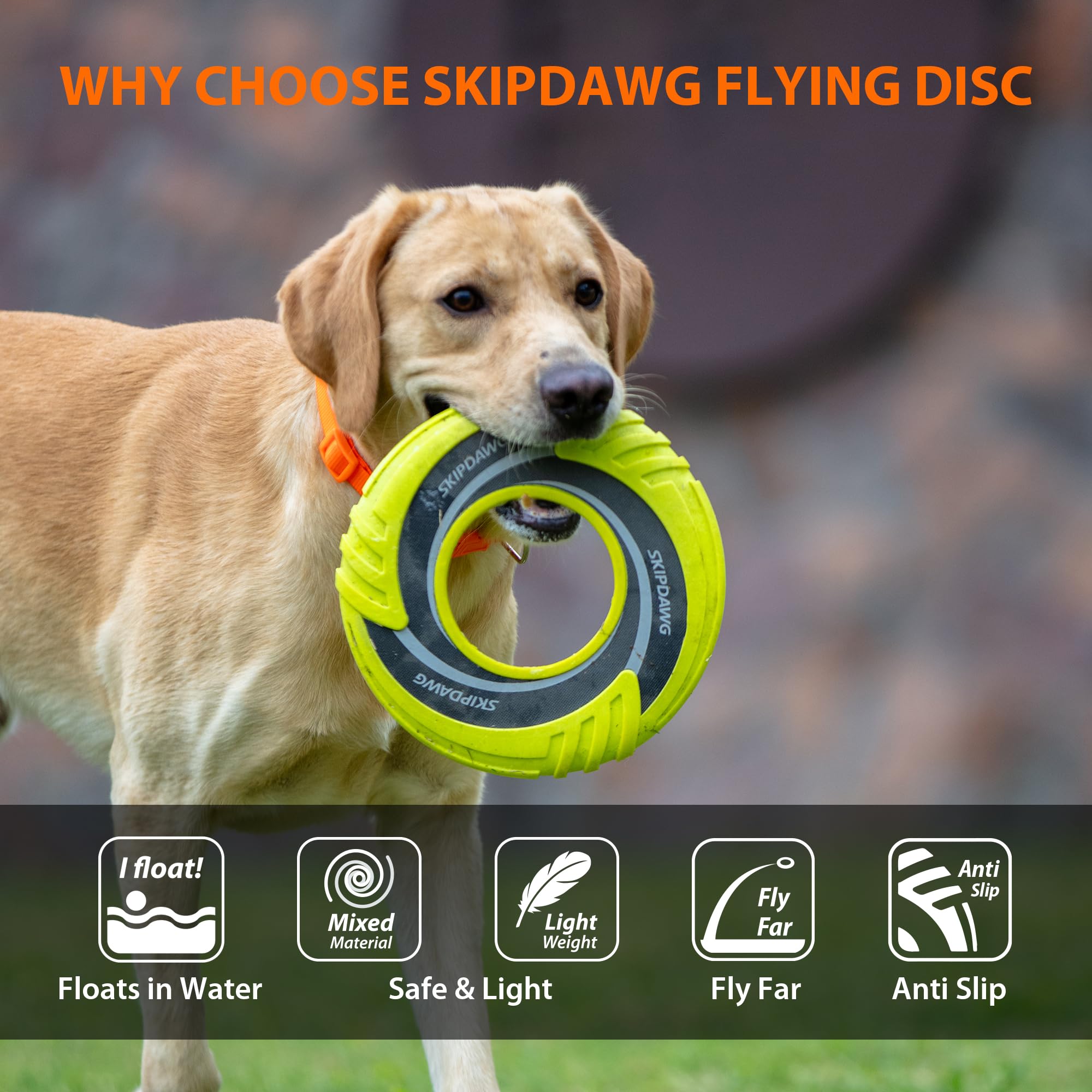 SKIPDAWG couleurs vives facilite la visibilité lors des parties en extérieur