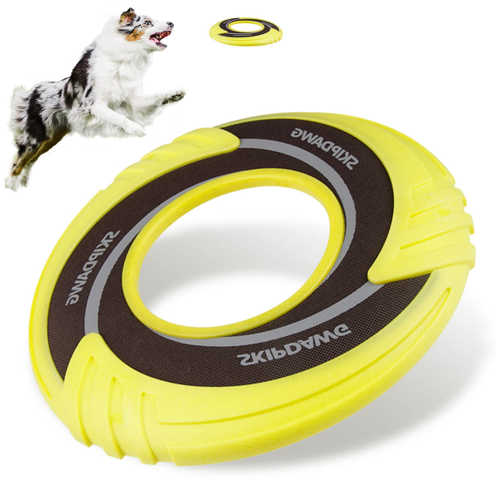 SKIPDAWG disque tirant interactif, idéal pour jeux en plein air et exercice