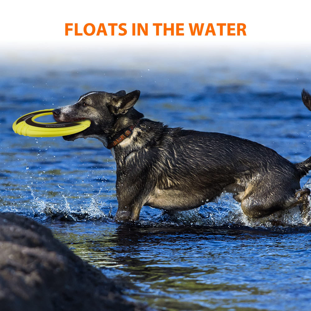 SKIPDAWG disque qui flotte sur l eau, utile pour natation et jeu