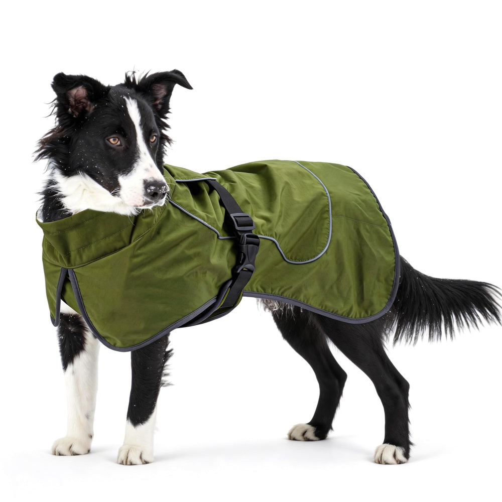 Veste imperméable Skmeditec pour chien grand vert XL, protection pluie et neige