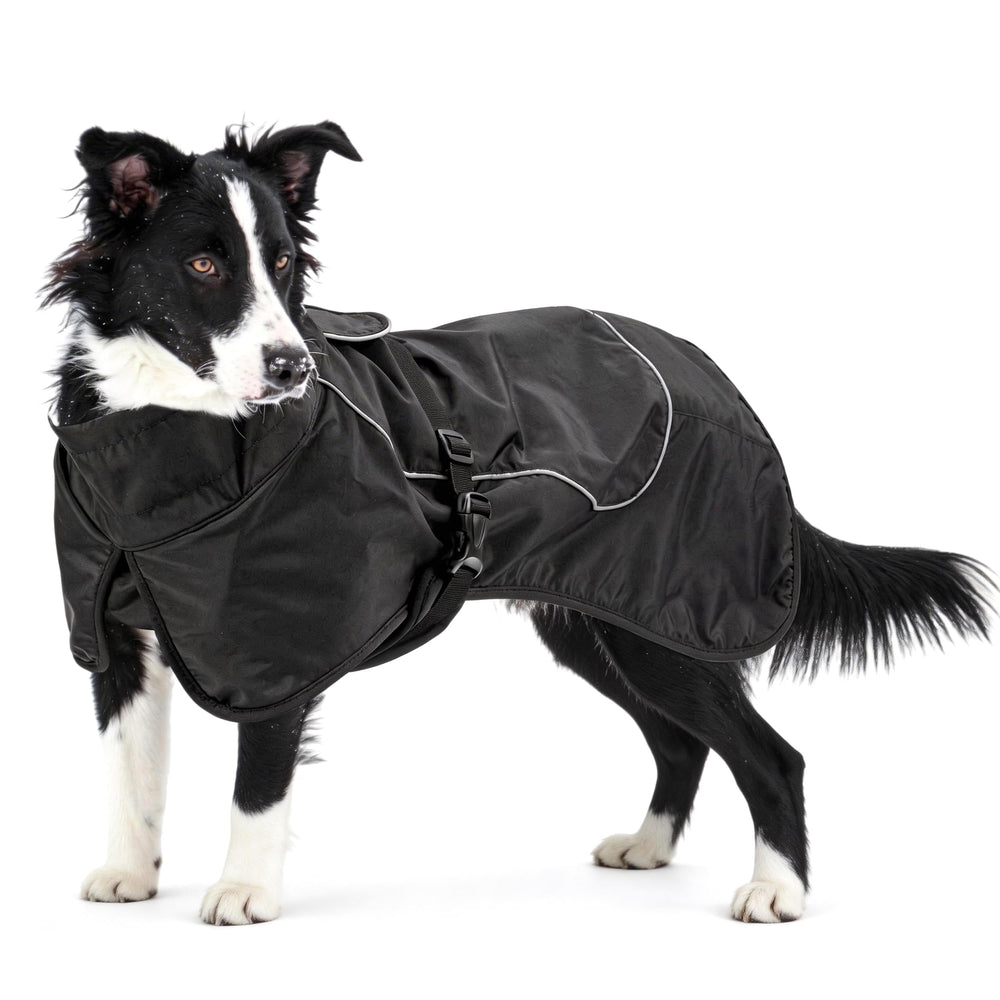 Manteau Skmeditec imperméable pour chien noir XXL, protection totale contre pluie et neige.